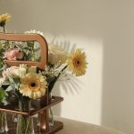 WhatsApp Image 2025-09-08 at 1.16.37 PM (1)