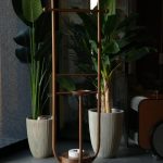 WhatsApp Image 2025-12-29 at 9.08.18 AM