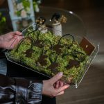 WhatsApp Image 2026-01-28 at 4.01.24 PM