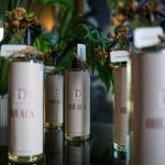 WhatsApp Image 2026-01-28 at 4.03.41 PM (1)